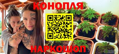 трава Будённовск