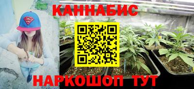 трава Будённовск