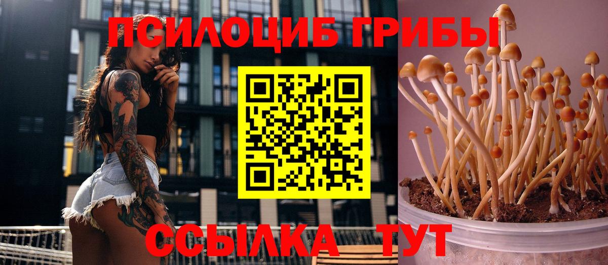 Чехов  Галлюциногенные грибы ЛСД  Псилоцибиновые грибы Cubensis  Вход с VPN 